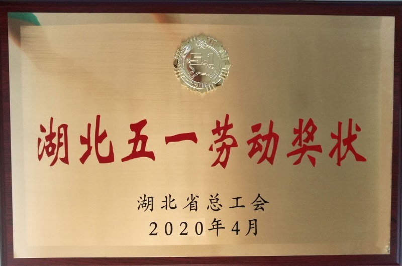 发展历程