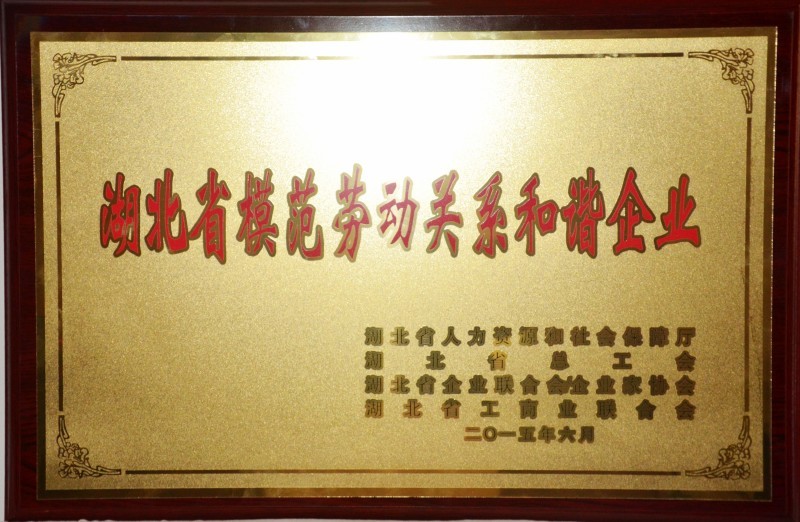 Sorry，当前栏目暂无内容!