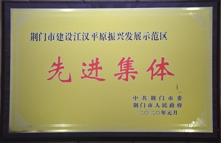 压球手机在线官网新手怎么玩简介