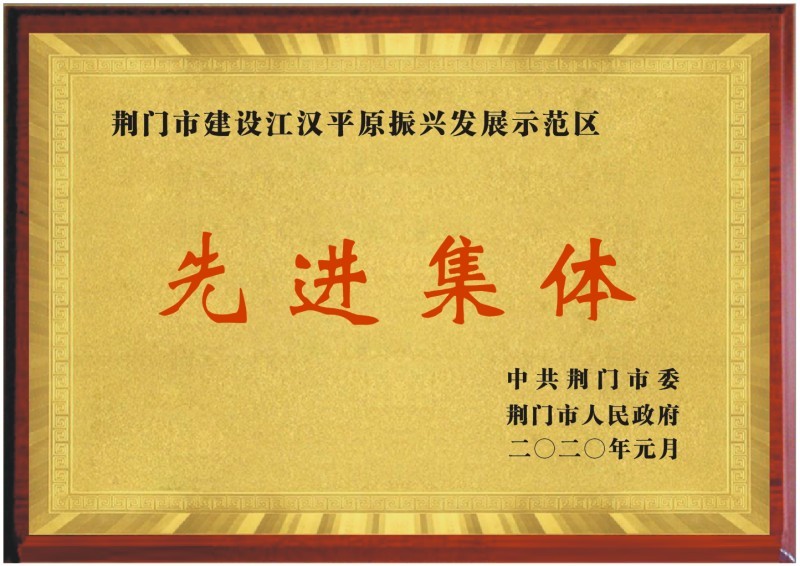 发展历程