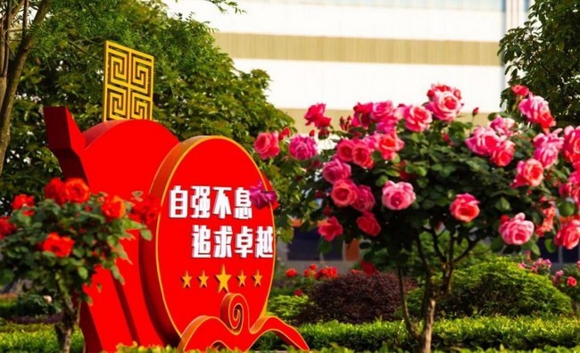 企业文化